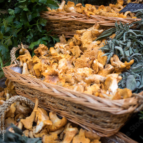 Sale of various types of mushrooms in birch bark boxes at farmers market. Including chanterelles.