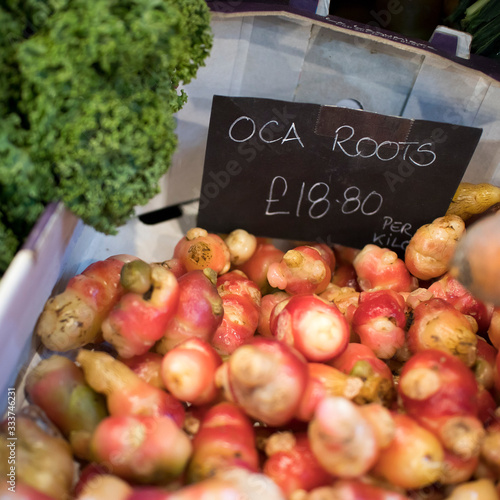 oca root for sale at the farmer market