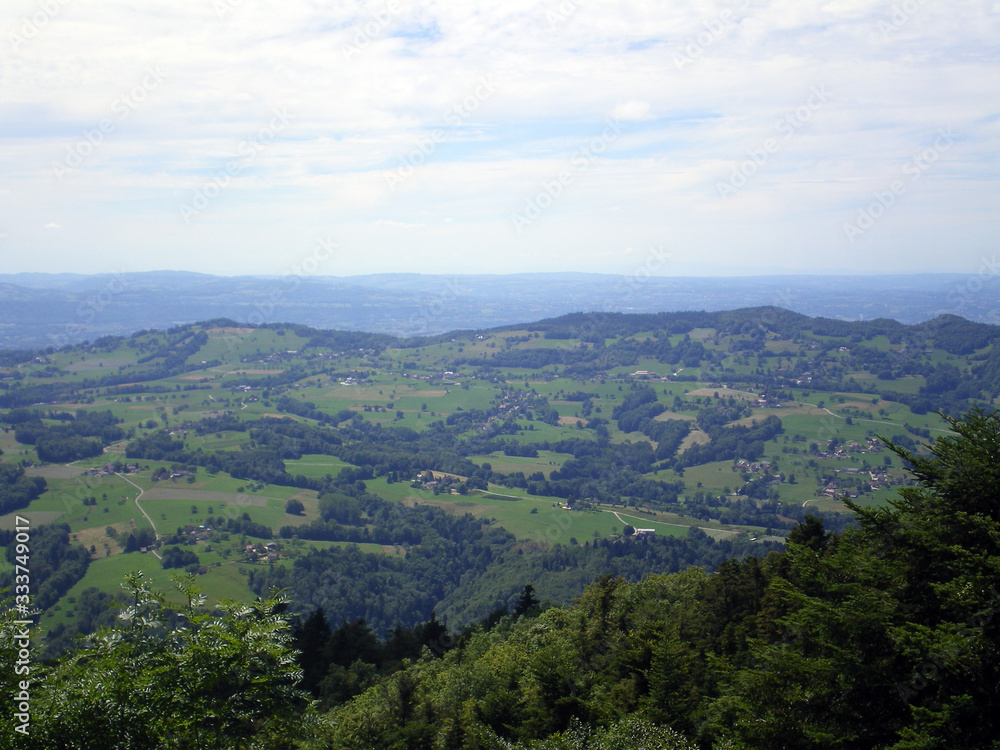 Beautiful view of the Savoie and the Isère, showing fields, forests and mountains. The picture was take in August 2008 from a mountain.