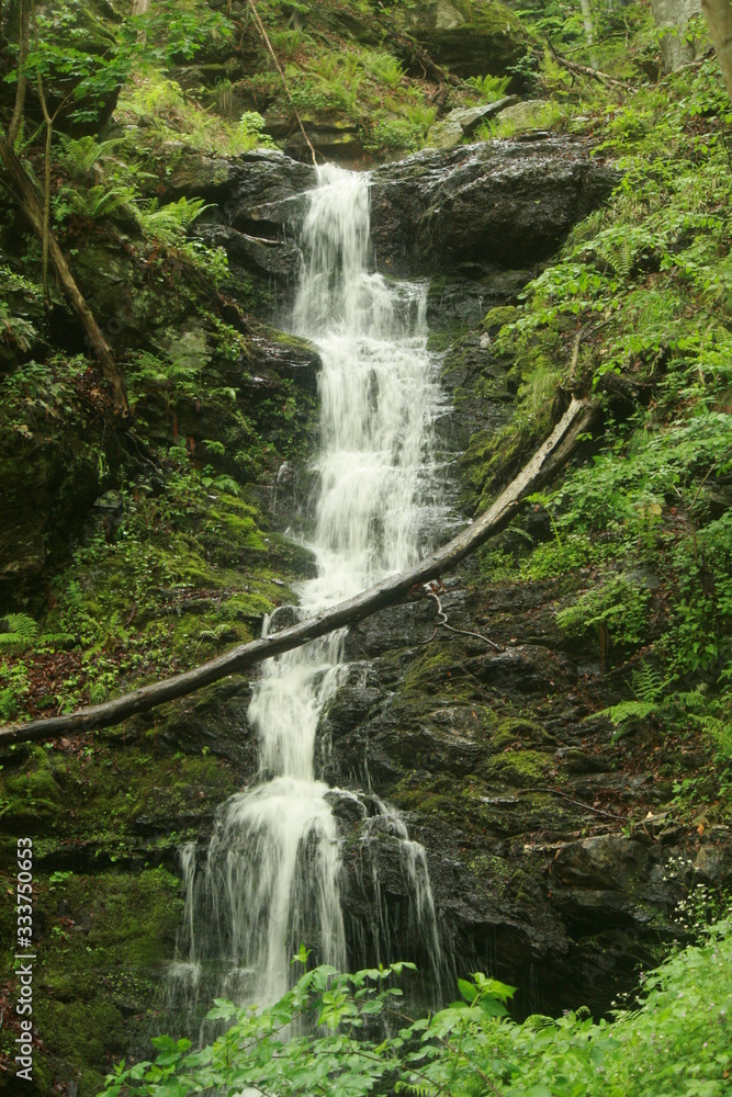 Obraz premium waterfall