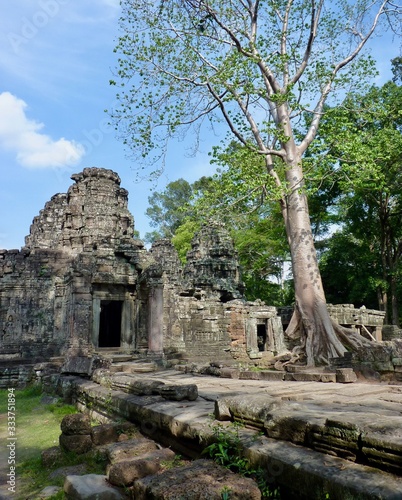 Wallpaper Mural Ruins of Angkor, temple of Preah Khan, stone pyramids with tree on grass, Angkor Wat, Cambodia Torontodigital.ca