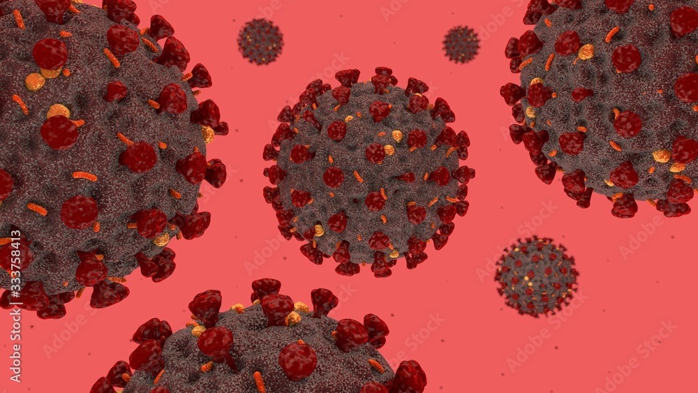 virus covid-19 virus covid-19