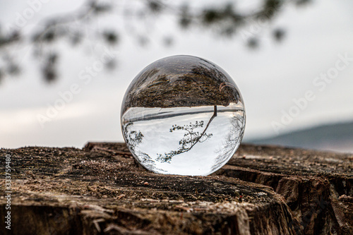 Lensball auf einem Baumstamm, mit Reflexion eines kleinen Baumes in der der Kugel 