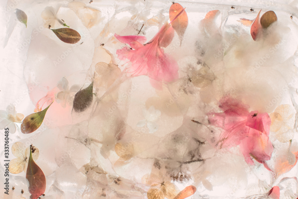 Frozen flowers, flowers in ice, soft focus, close up. Frozen flowers, flowers in ice, soft focus, close up.