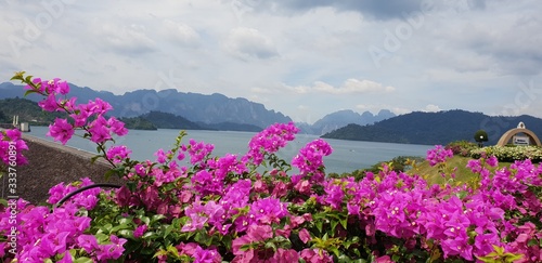 Fototapeta Naklejka Na Ścianę i Meble -  Beautifel bright flowers in front of scenic Cheow Lan Lake