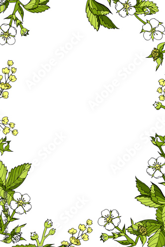 Vector rectangular vertical frame floral cartoon pattern, outline flowers and leaves of wild strawberry, barberry inflorescence on a white background hand-drawn with place for text in the center