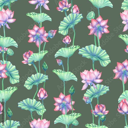 Seamless pattern with lotus flowers. Flower seamless pattern. Botanical background. Pencil drawn Indian lotus flower pattern. Floral pencil background. 