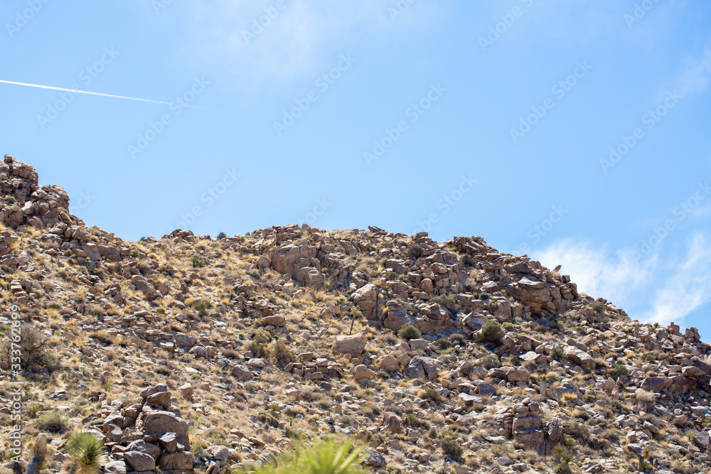 Obraz premium Desert Landscape