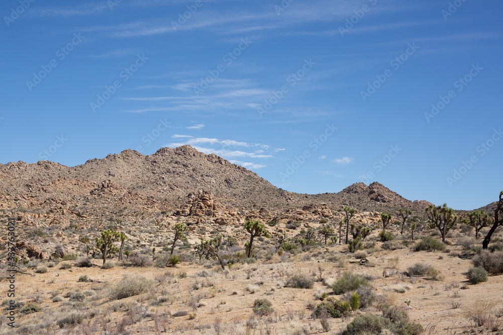 Desert Landscape Desert Landscape