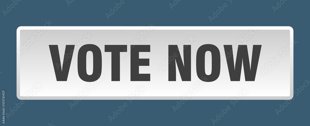 vote now button. vote now square white push button