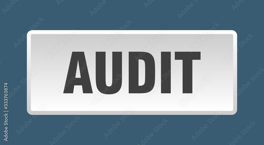 audit button. audit square white push button audit button. audit square white push button