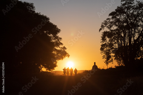 Wallpaper Mural Amigos paseando en una puesta de sol entre los arboles Torontodigital.ca