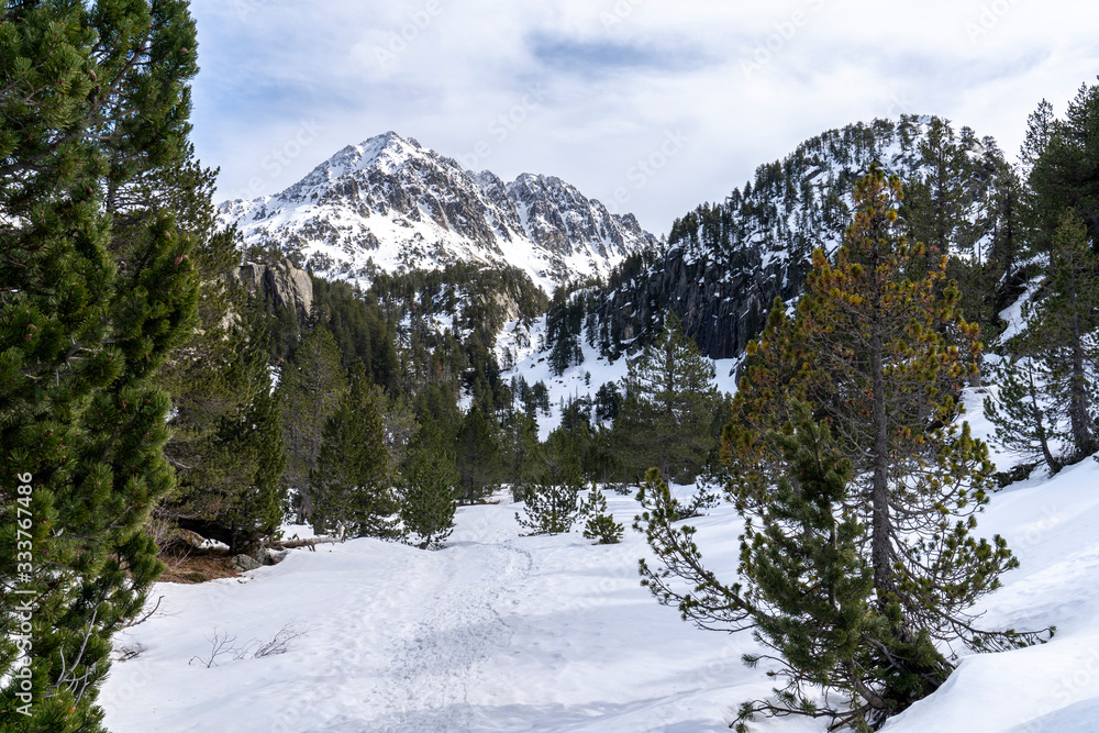 Views of National Park of Aigüestortes and lake of Sant Maurici. Views of National Park of Aigüestortes and lake of Sant Maurici.