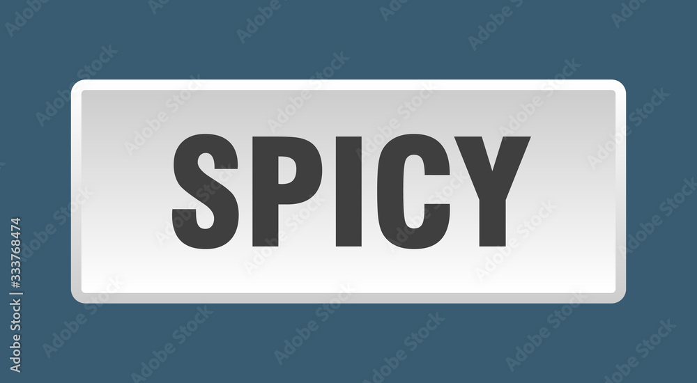 spicy button. spicy square white push button spicy button. spicy square white push button