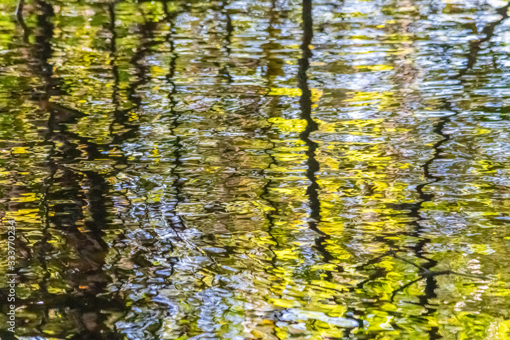 Obraz premium On the banks of the Rio do Coco, reflections of the vegetation of the Brazilian savannah on a sunny autumn day.