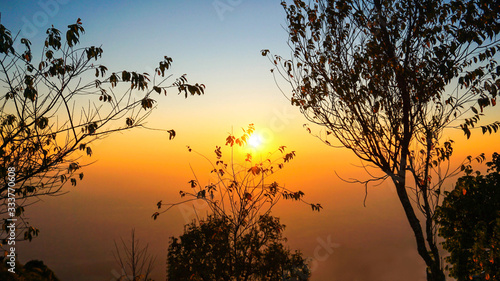 Golden light and yellow sky Of a beautiful evening sunset with the tree silhouette in Thailand