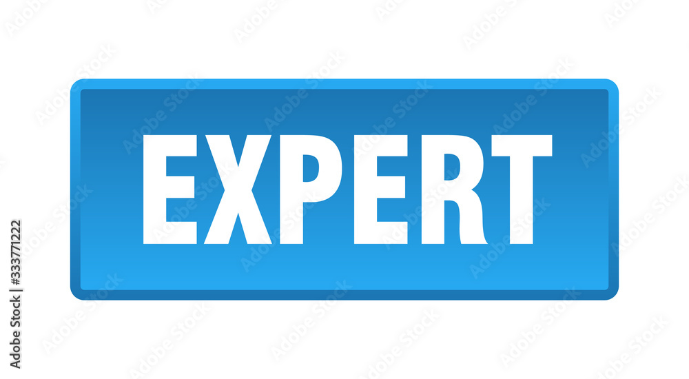 expert button. expert square blue push button expert button. expert square blue push button