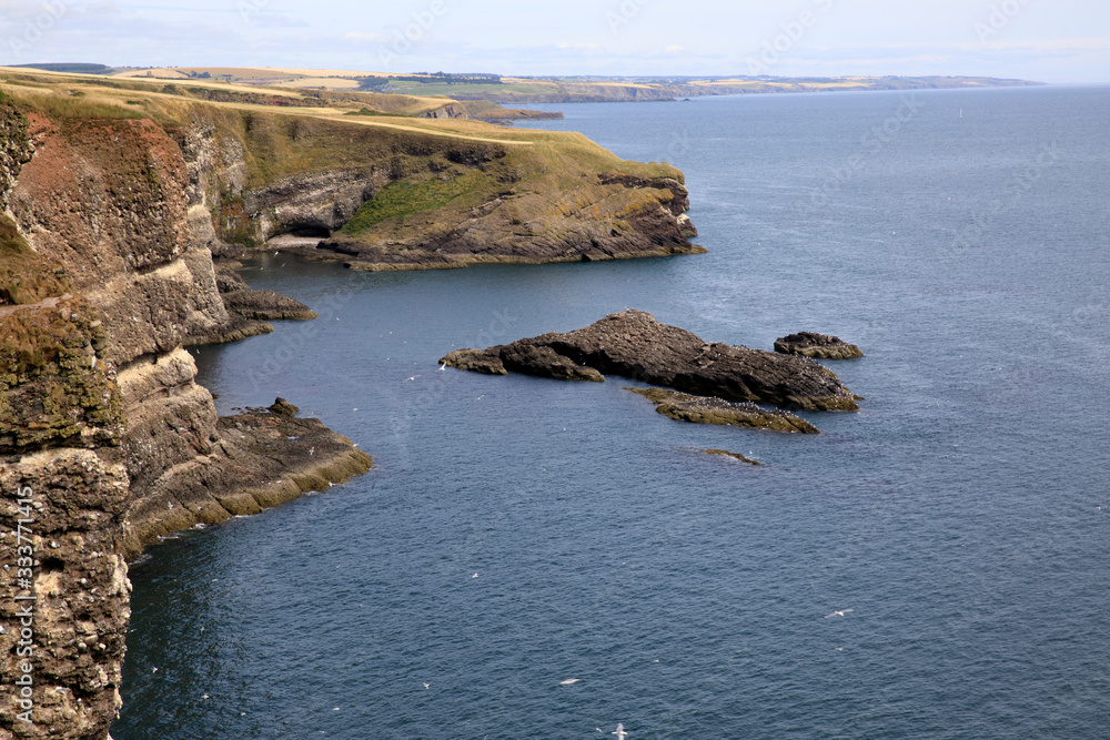 Crawton Bay (Scotland), UK - August 01, 2018: Cliff view at Crawton Bay, Scotland, Highlands, United Kingdom