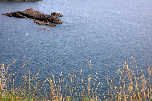 Crawton Bay  Scotland   UK - August 01  2018  Cliff view at Crawton Bay  Scotland  Highlands  United Kingdom