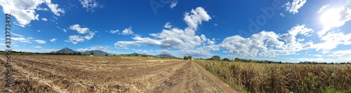 road in field