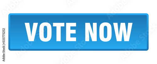 vote now button. vote now square blue push button