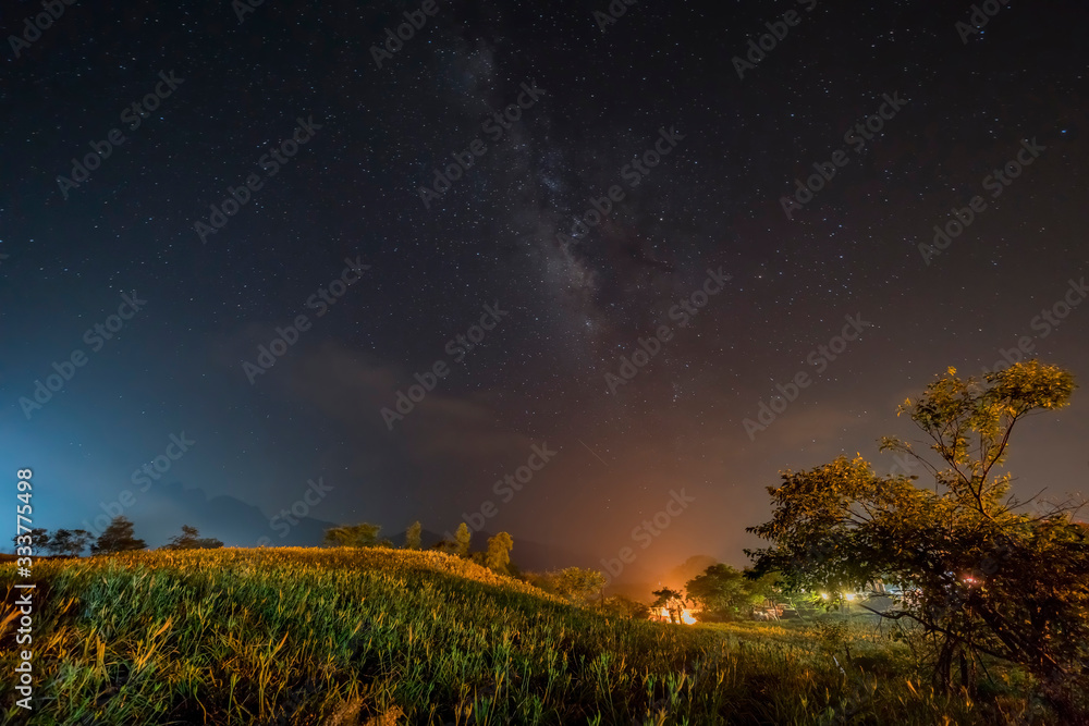 Night stars and milky way of the famous and beautiful Daylily flower at sixty Stone Mountain