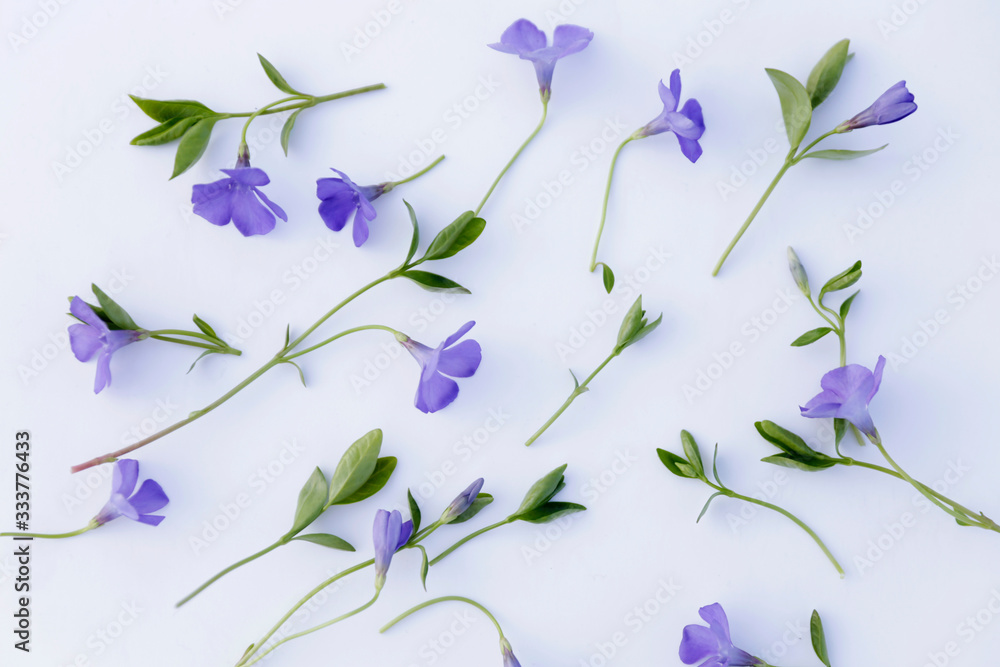 Creative layout made with violet flowers. Minimal nature love background. Spring flowers concept.