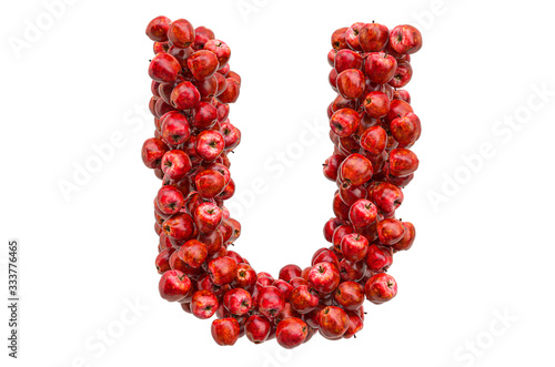 Letter U from red apples, 3D rendering