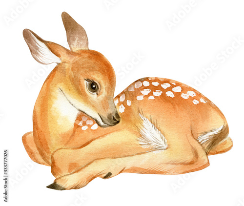 Watercolor Baby Deer. Hand Painted Fawn Illustration isolated on white background.