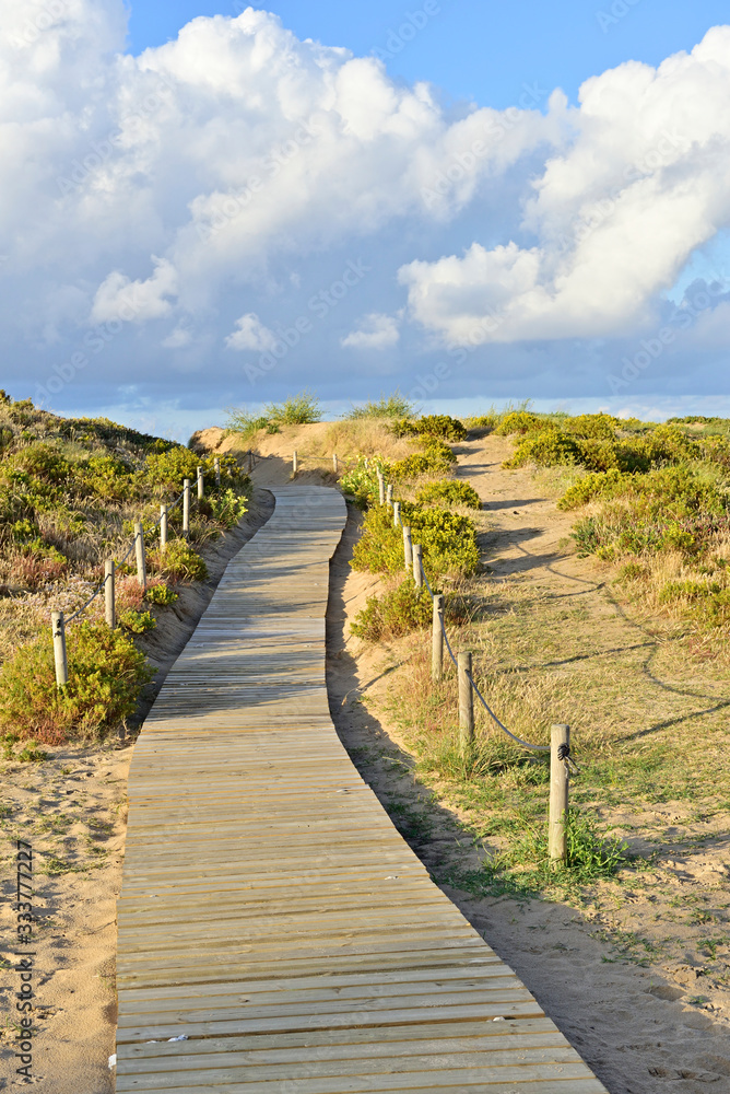 Wood path in the dunes of the beach on a sunny afternoon with white clouds on the horizon