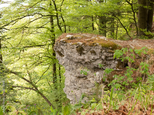 Wanderung auf dem Fernwanderweg Albsteig HW 1 auf der Strecke von Jungingen nach Onstmettingen auf der Schwäbischen Alb. photo