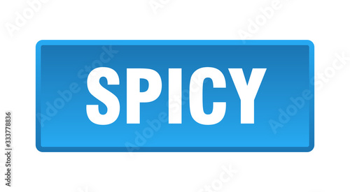 spicy button. spicy square blue push button