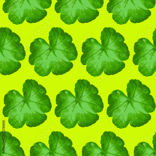 leafes pattern, isolated leafes of tree vector
