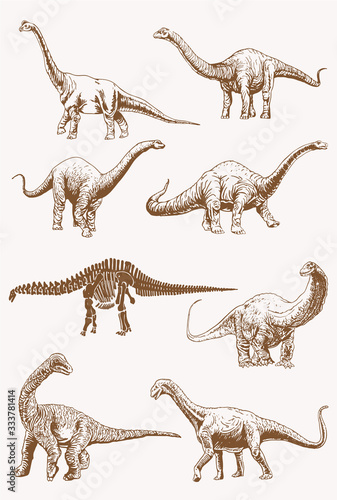 Graphical vintage set of diplodocus dinosaurs,vector sepia illustration