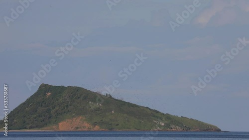 Sea Bird Island off Costa Rica coastline near Puerto Soley photo