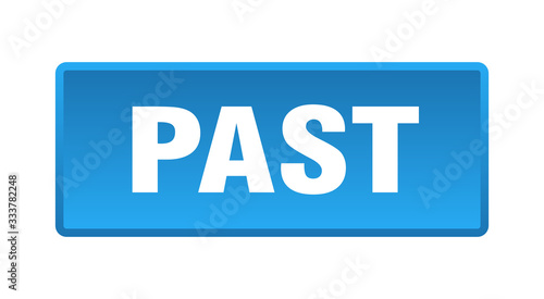 past button. past square blue push button
