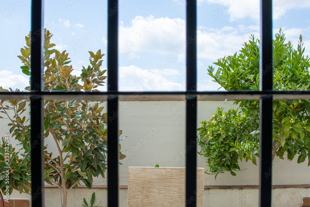 Naklejka premium COVID-19 quarantine: trees and the blue sky behind the bars of the window