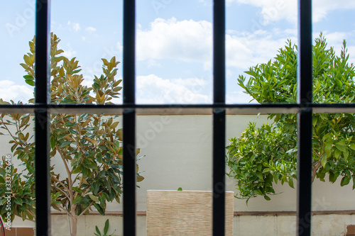 COVID-19 quarantine  trees and the blue sky behind the bars of the window