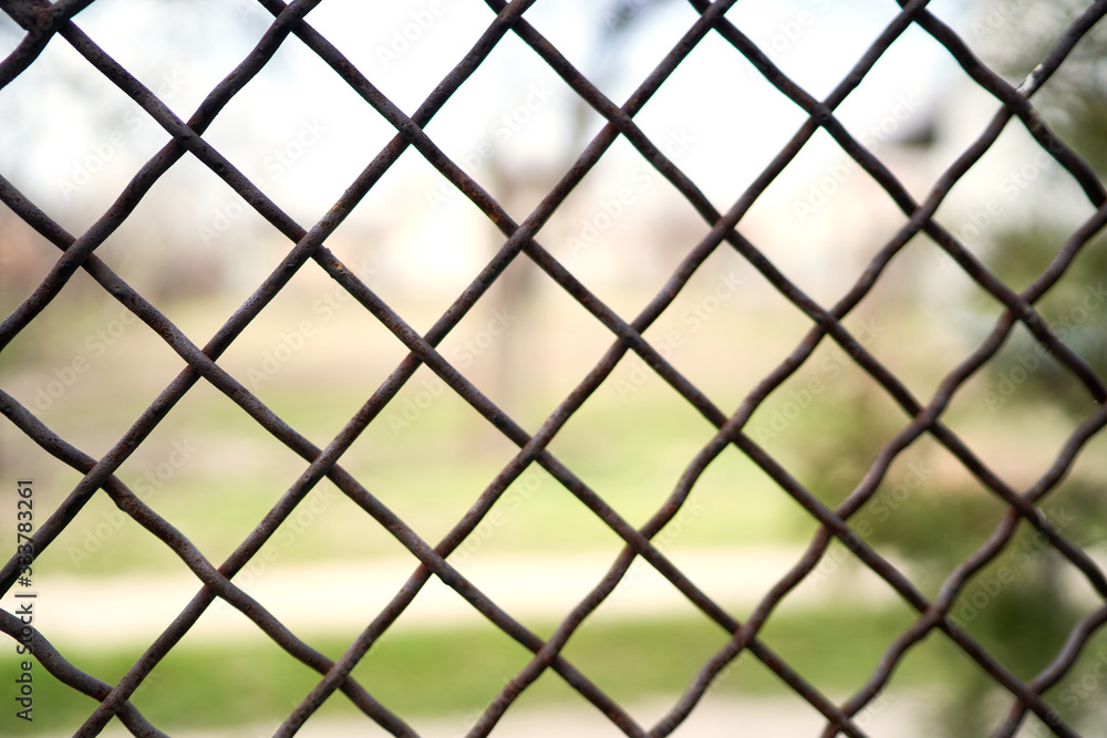 Fototapeta premium thick wire iron mesh fence