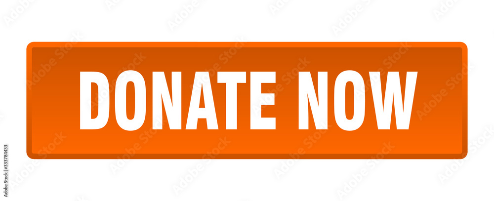 donate now button. donate now square orange push button
