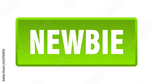 newbie button. newbie square green push button