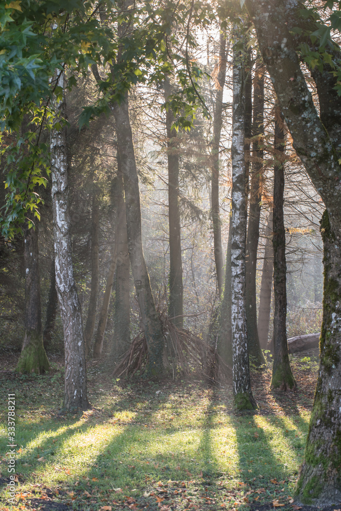 Obraz premium Święta Helena jezioro