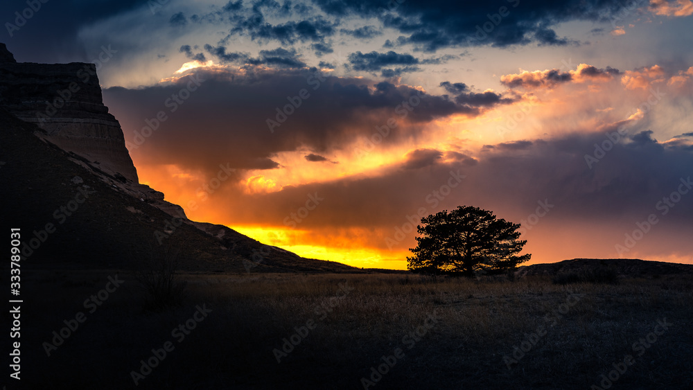 Lone tree against fantastic sunset clouds