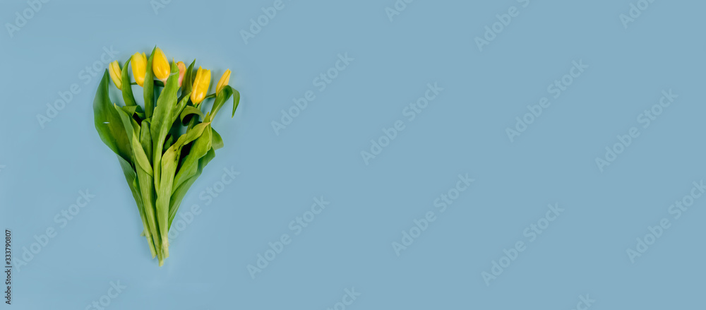 The spring sale. A bouquet of fresh yellow tulips on a blue background.Mothers and women's day.Spring festival.Banner for a store or website.Zero Waste.Copy space