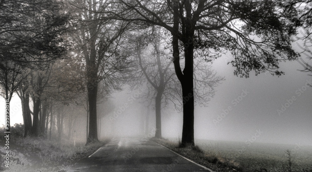 Obraz premium Nebel im Herbst