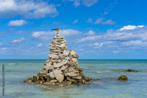 Republic of Cuba. Fauna Of ...