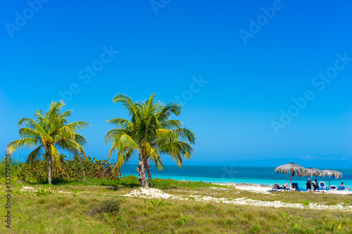 Vacation in Cuba. Palm trees and a beach on the Caribbean sea. Nature Of Cuba. Vacation in Cuba. People relax under umbrellas on the shore of the Caribbean sea. Vacation in the Caribbean.