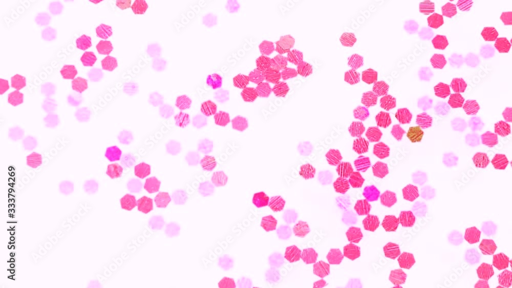 flower petal floating on white background flower petal floating on white background