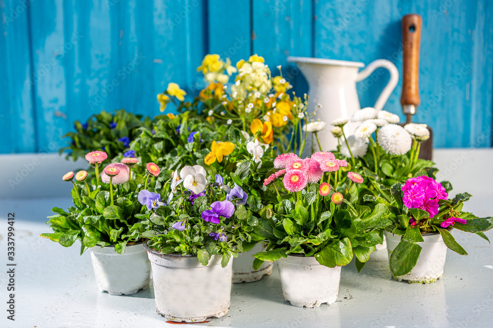 Arrangement of spring flowers in vintage style with old wooden table. Gardening concept.