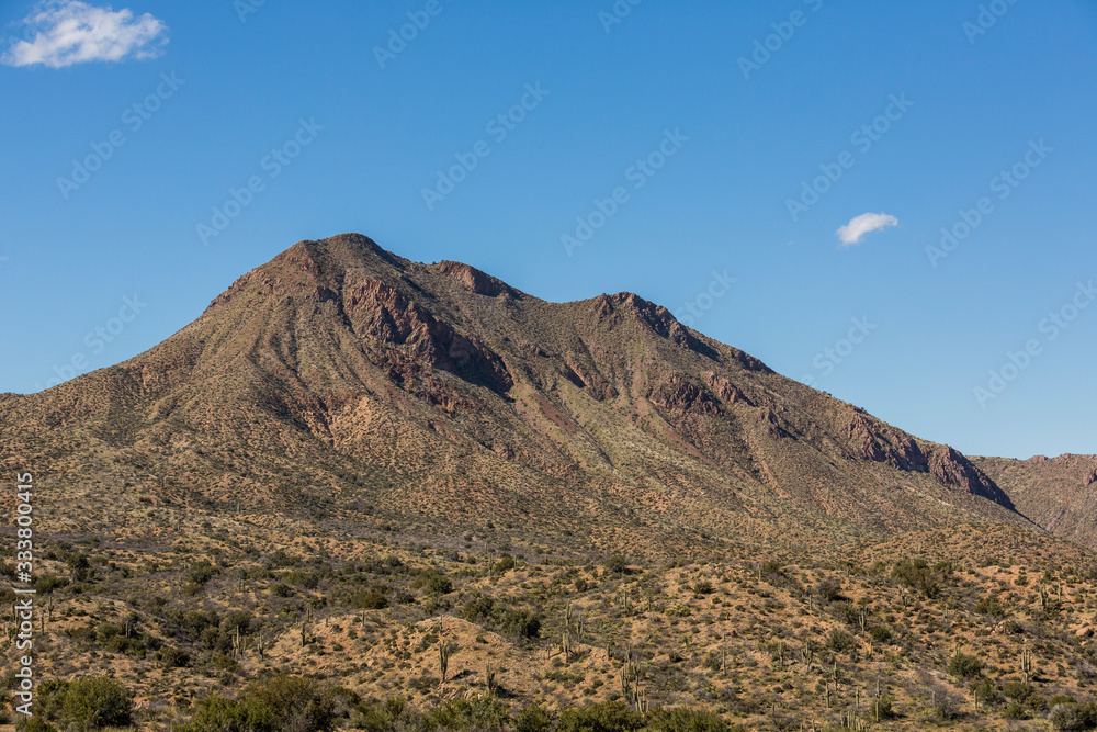 Large mountain rising against the sky with saguaro and desert in foreground